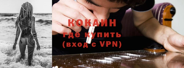 сатива Дмитриев