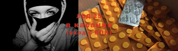 сатива Дмитриев
