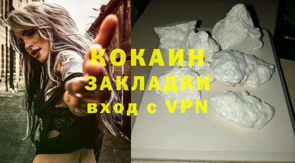 сатива Дмитриев