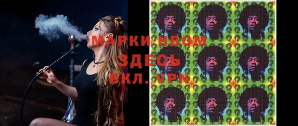 сатива Дмитриев