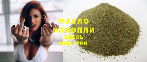 сатива Дмитриев