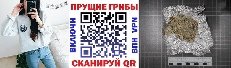 Купить  Кимры  Галлюциногенные грибы Magic Shrooms 